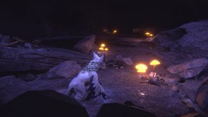 Nintendo Switch Embers Of Mirrim